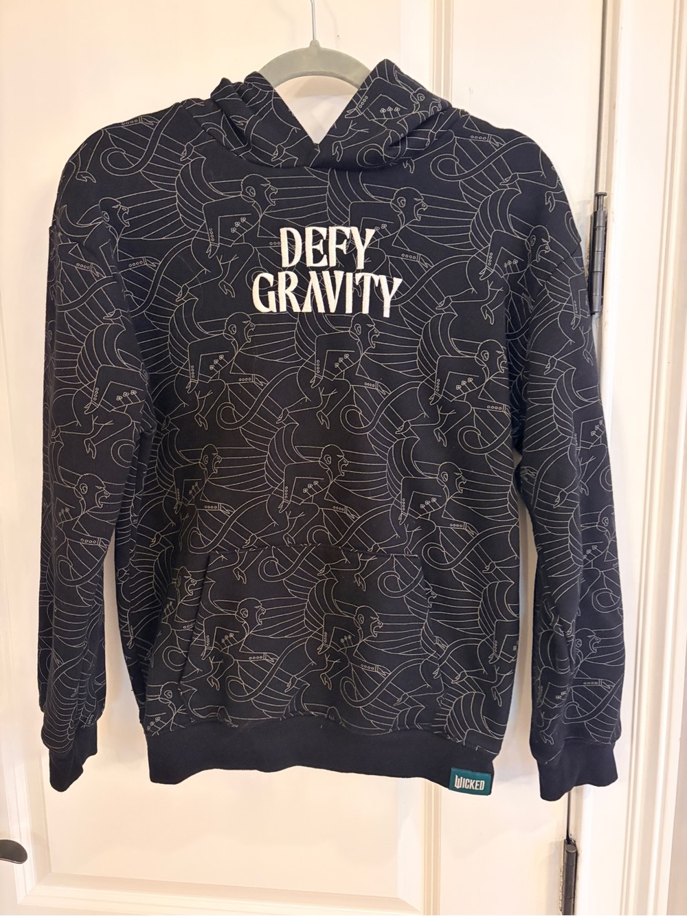 Wicked Defy Gravity Hoodie Paul Tazewell Graphic Pullover youth XL Universal